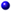 bullet.gif (526 bytes)